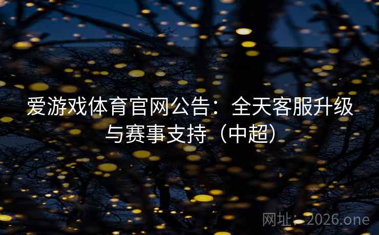 爱游戏体育官网公告：全天客服升级与赛事支持（中超）