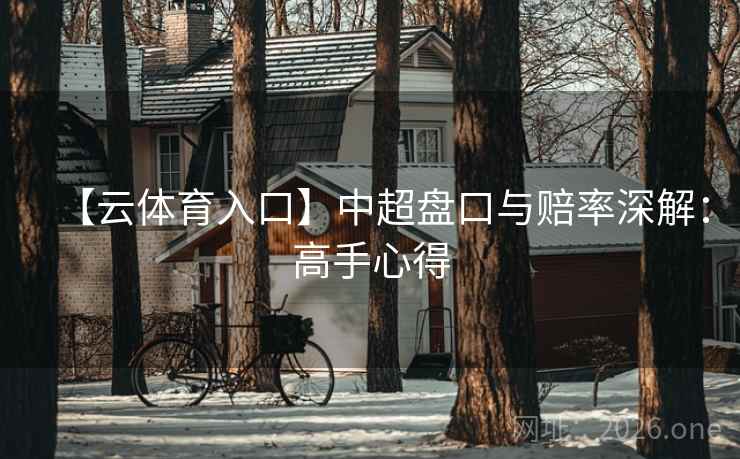 【云体育入口】中超盘口与赔率深解：高手心得